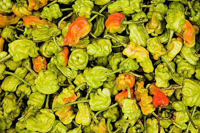 回合制战术 RPG《猩红战术 白旗崛起》现已上线Steam